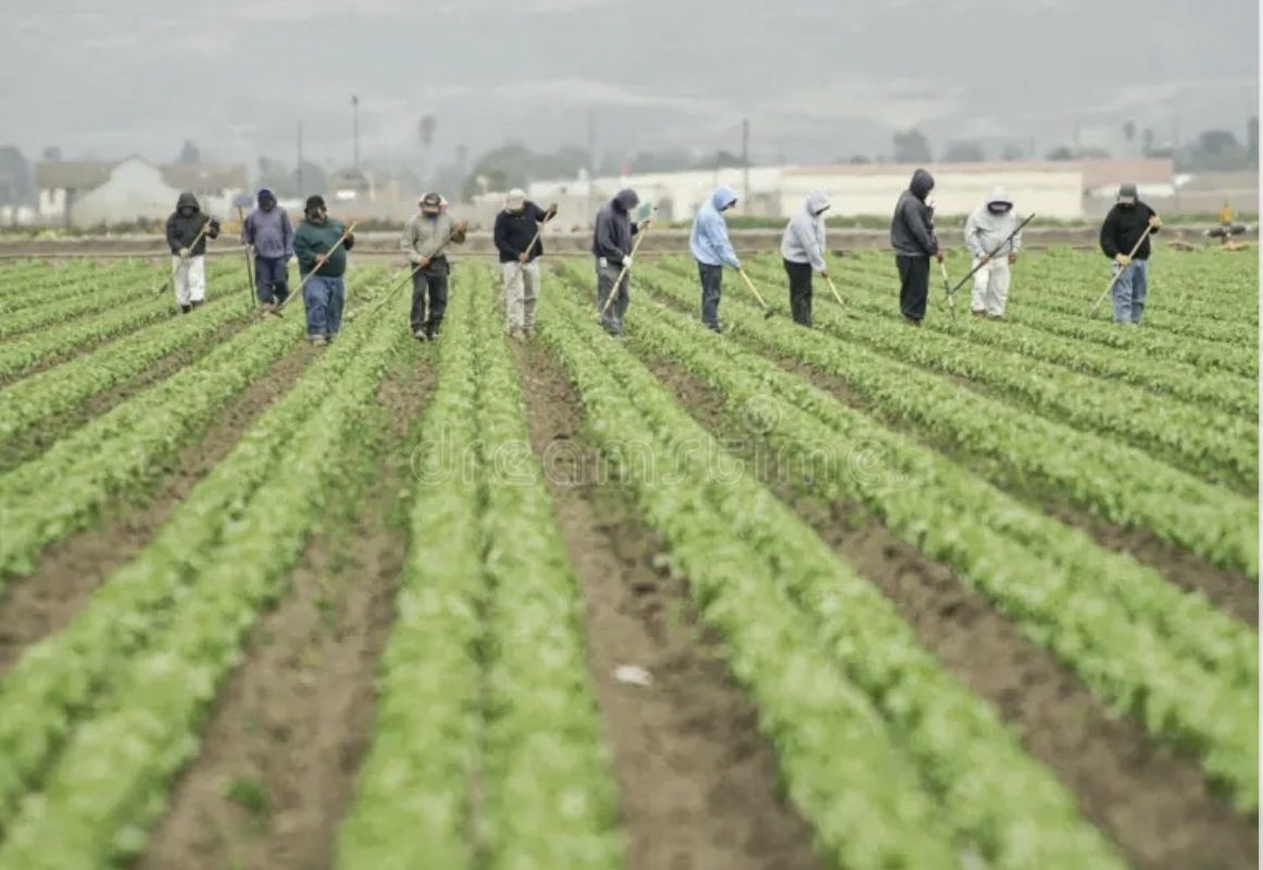Agriculture & Farming